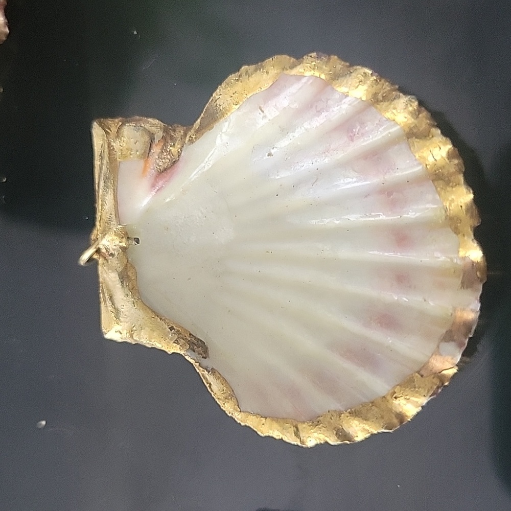Seashells Dipped In 18k Gold - image 3